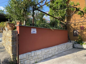 Apartments Mohorcic
